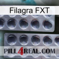 Filagra FXT 31